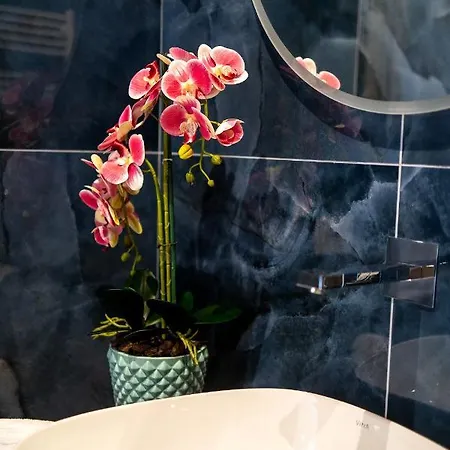 Luxury Cecilia Via Antonio Del Re 9 Tivoli