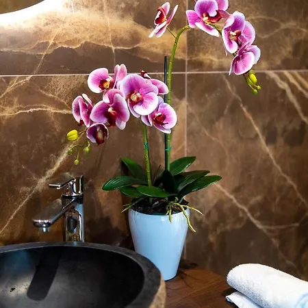 Luxury Cecilia Via Antonio Del Re 9 Guest house