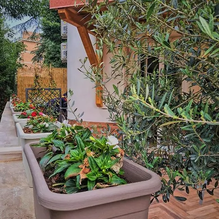Luxury Cecilia Via Antonio Del Re 9 Guest house *